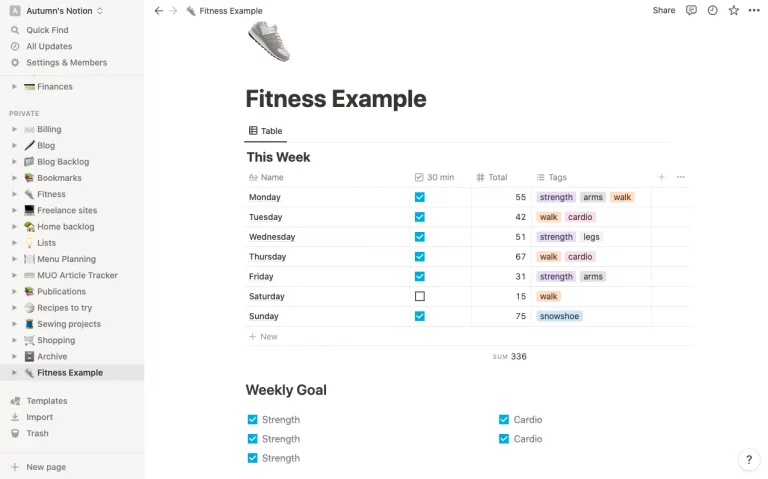 Notion Fitness Tracker Secondary Goal