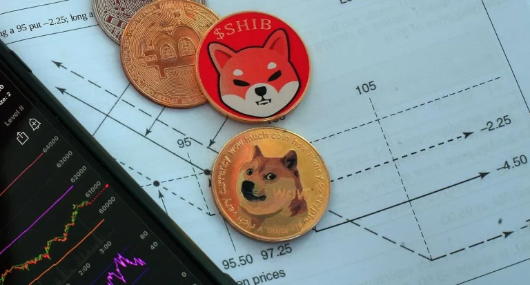 doge shib 1