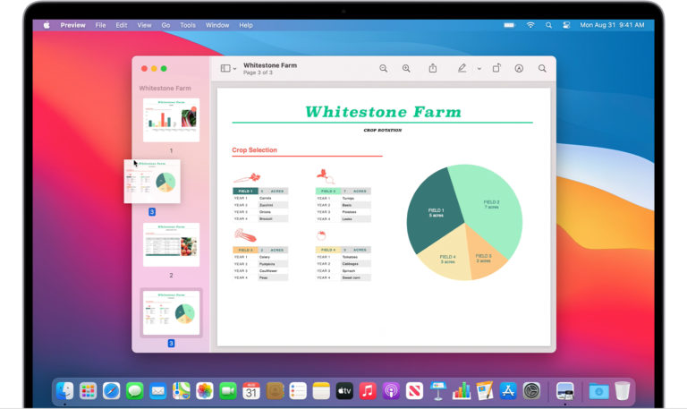 macos big sur preview reorder page