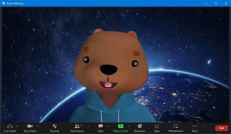 using an avatar in a zoom meeting