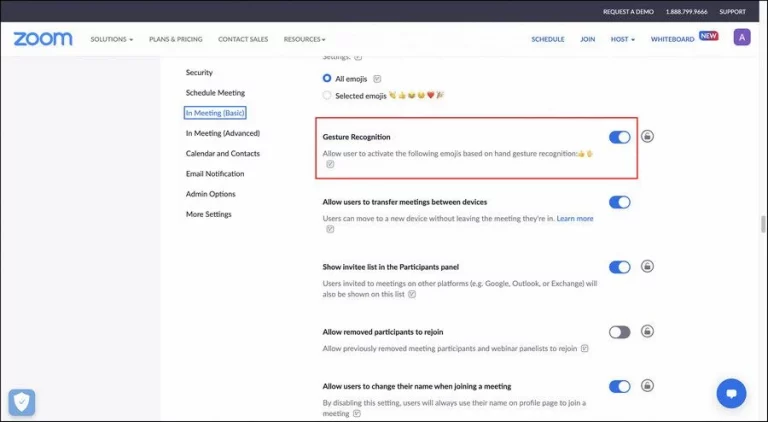 zoom gesture recognition