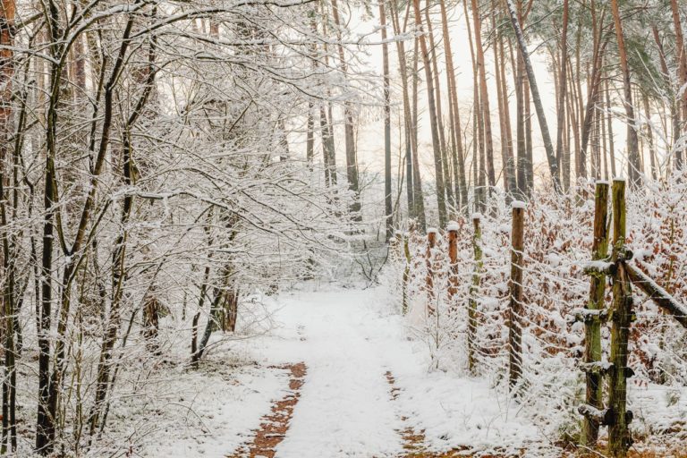 pexels karolina grabowska 6607859