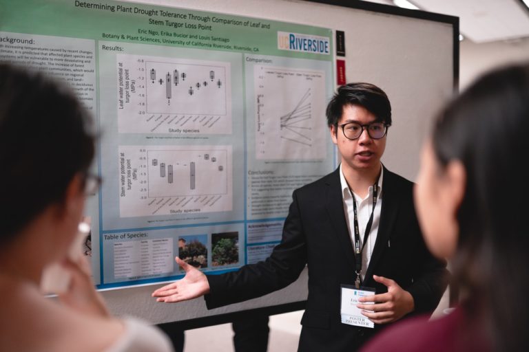 pexels martin lopez 2399065