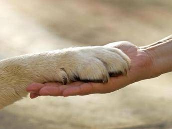 ?attachment id=89735