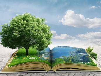 ?attachment id=83220