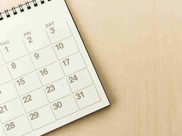 domanda professionelavoro.it