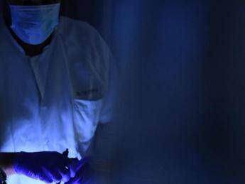 ?attachment id=90339