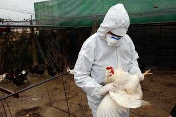 ?attachment id=89178