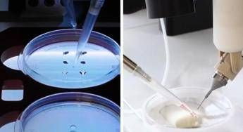 ?attachment id=72094