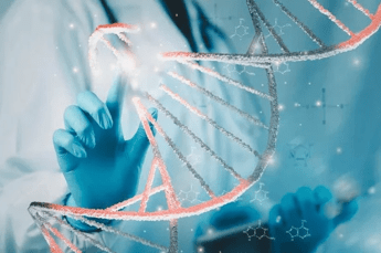 ?attachment id=84804