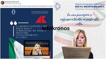 maria rosaria boccia ci ricasca usa il logo della camera per promuovere diete e ritocchini 2