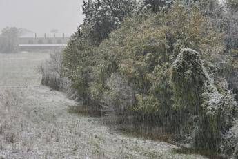 ?attachment id=84429