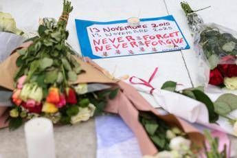 ?attachment id=81981