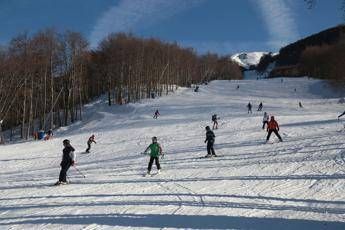 ?attachment id=84144