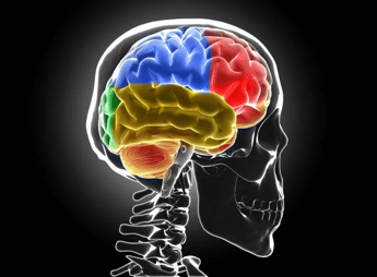 ?attachment id=84882