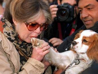 ?attachment id=90108