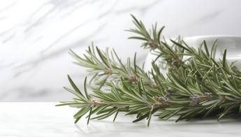 ?attachment id=89986