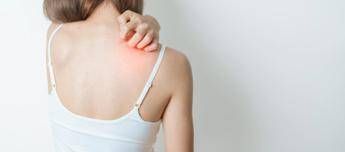 ?attachment id=88865