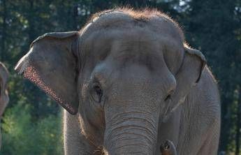 ?attachment id=89094