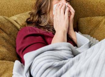 ?attachment id=90401