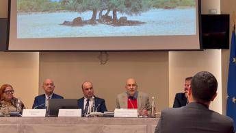 ?attachment id=86500