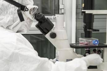 la scoperta per ricaricare le cellule e combattere linvecchiamento 2