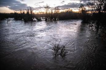 ?attachment id=97488