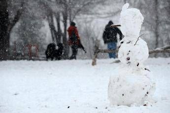 ?attachment id=88792