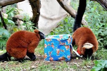 ?attachment id=89378