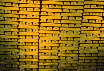 oro di bankitalia allo stato stop della bce il governo riconsideri la proposta 2