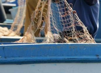 ?attachment id=90487