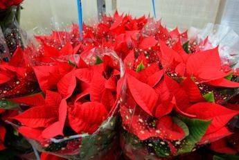 ?attachment id=89354