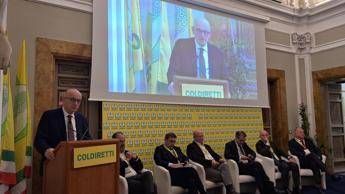 tabacco rapporto maciste per mercato illecito rapida trasformazione digitale 2