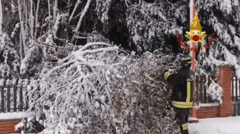 ?attachment id=91490