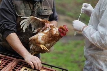 ?attachment id=95964