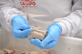 ?attachment id=91795