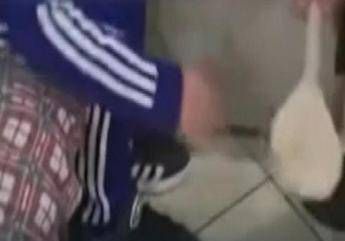 ?attachment id=92875