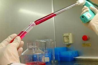 ?attachment id=91751