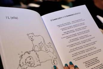 ?attachment id=96070