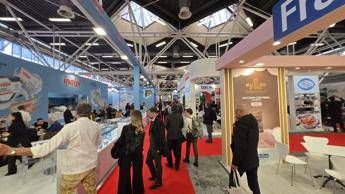 ?attachment id=93353