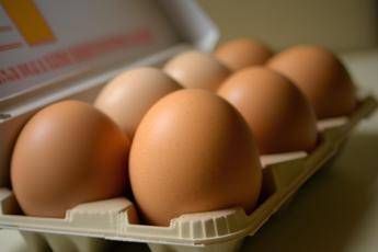 ?attachment id=95784